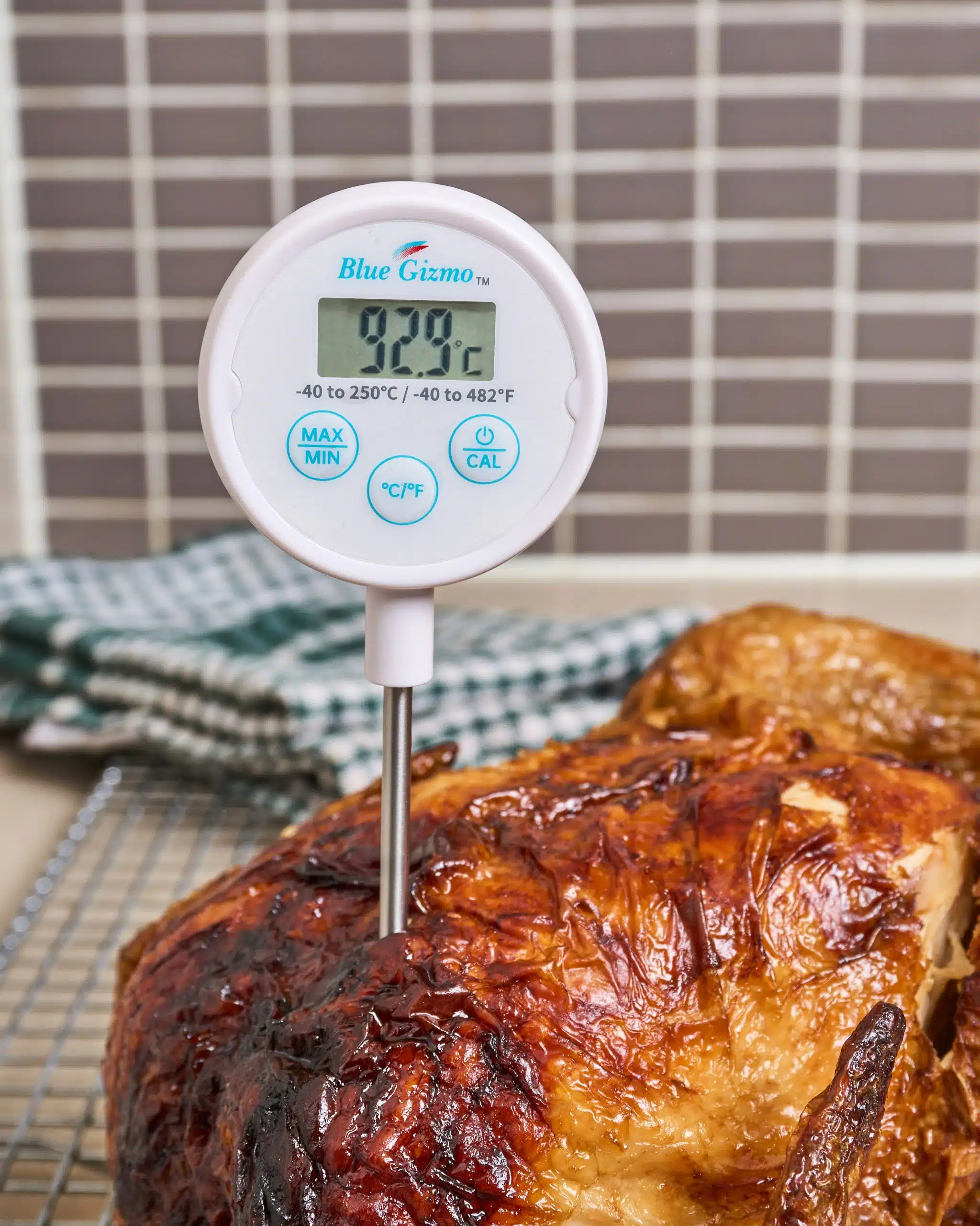 Blue Gizmo® Digital Probe Lollipop Thermometer (BG 363+) - Image 2