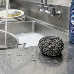 Stainless Steel Scourers
