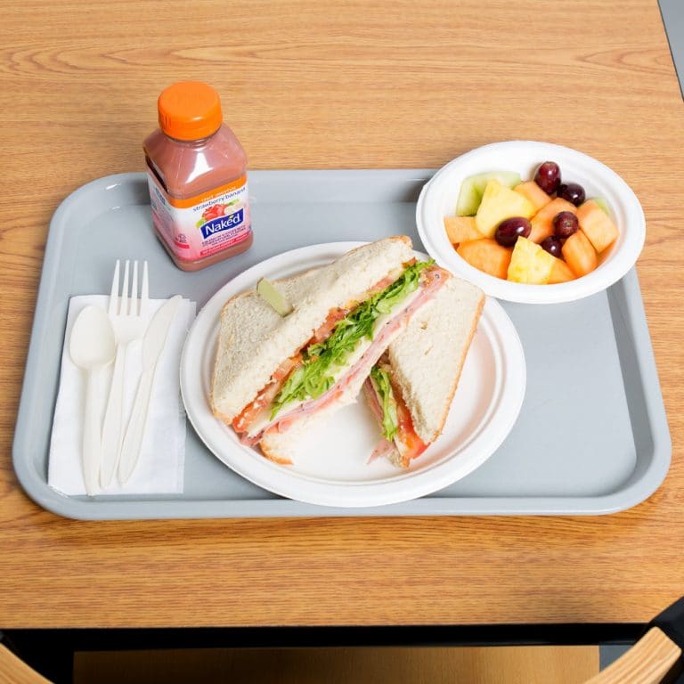 Plastic Fast Food Tray Grey KH Hospitality Imports