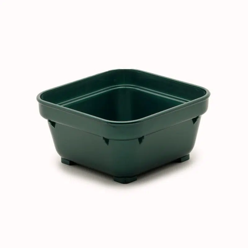 KH Healthcare Square Bowl 100MM Green PP (19)