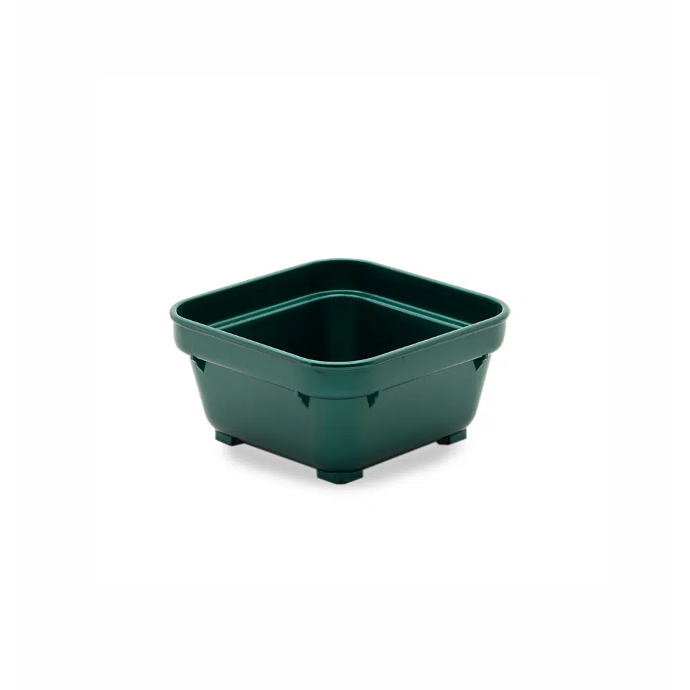 Square Bowl Green No Lid