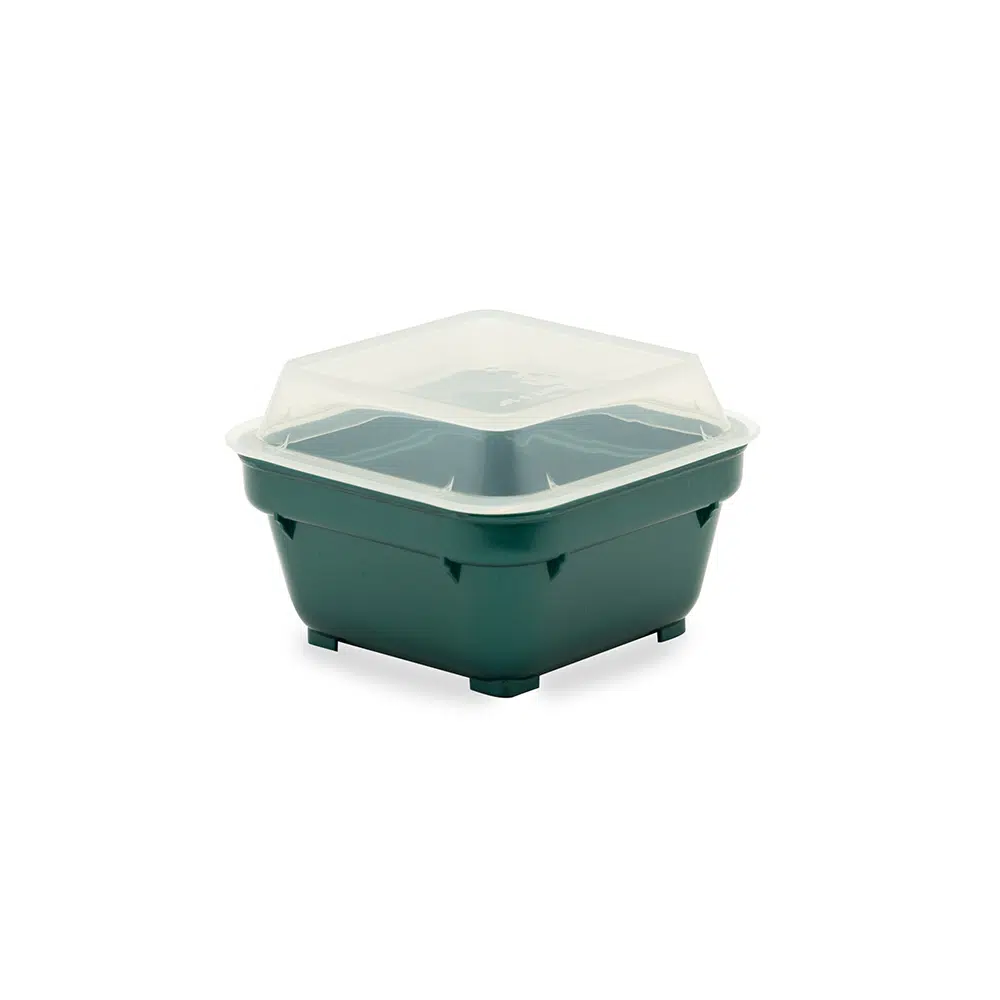 KH Square Bowl With Lid Green