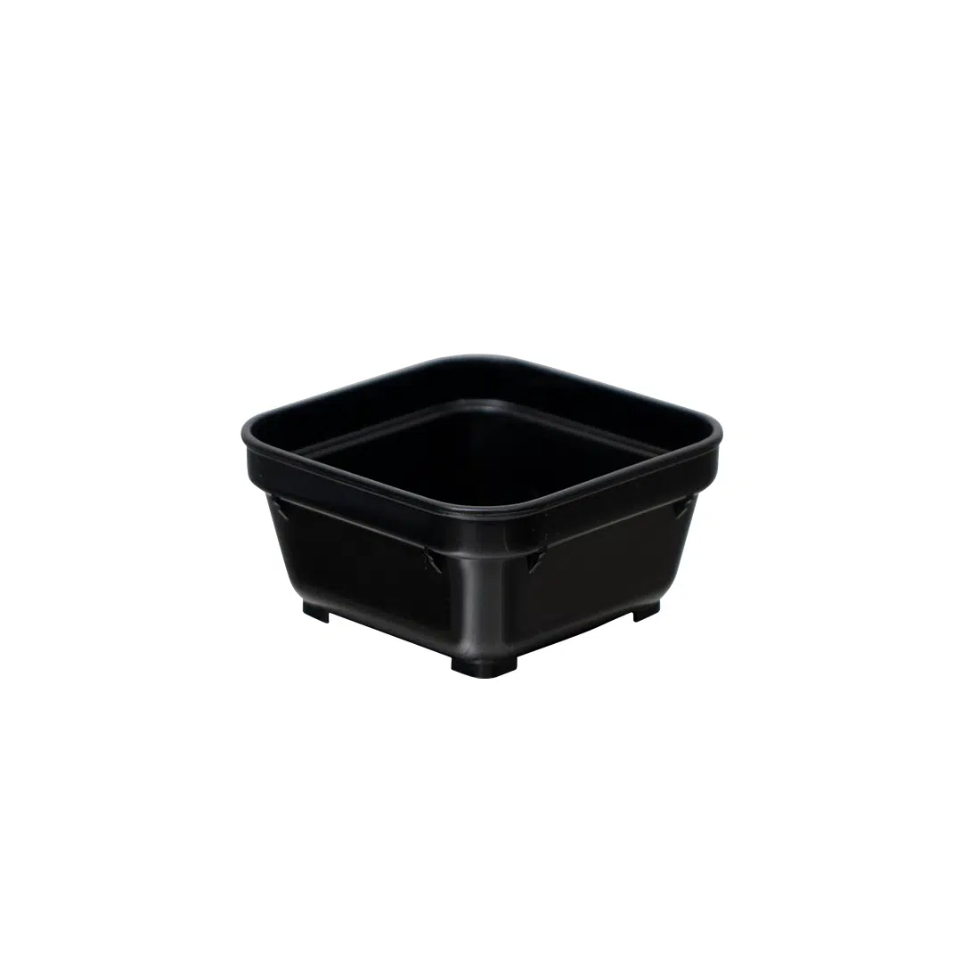 98378 Square Bowl Black