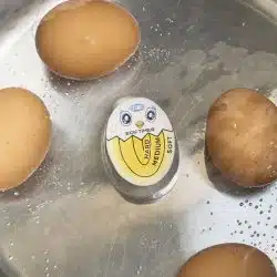 egg timer