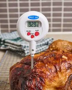 Thermometers & Timers