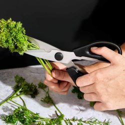 Kitchen Scissors And Shears